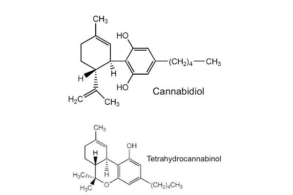 Cannabidiolum compounds