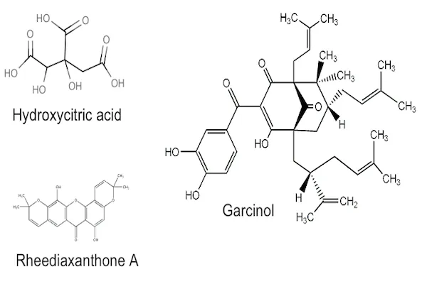 Garcinia Cambogia compounds
