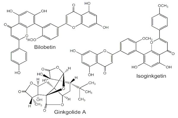 Ginkgo compounds